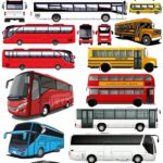 Bus Set CDR Free Vector Clipart